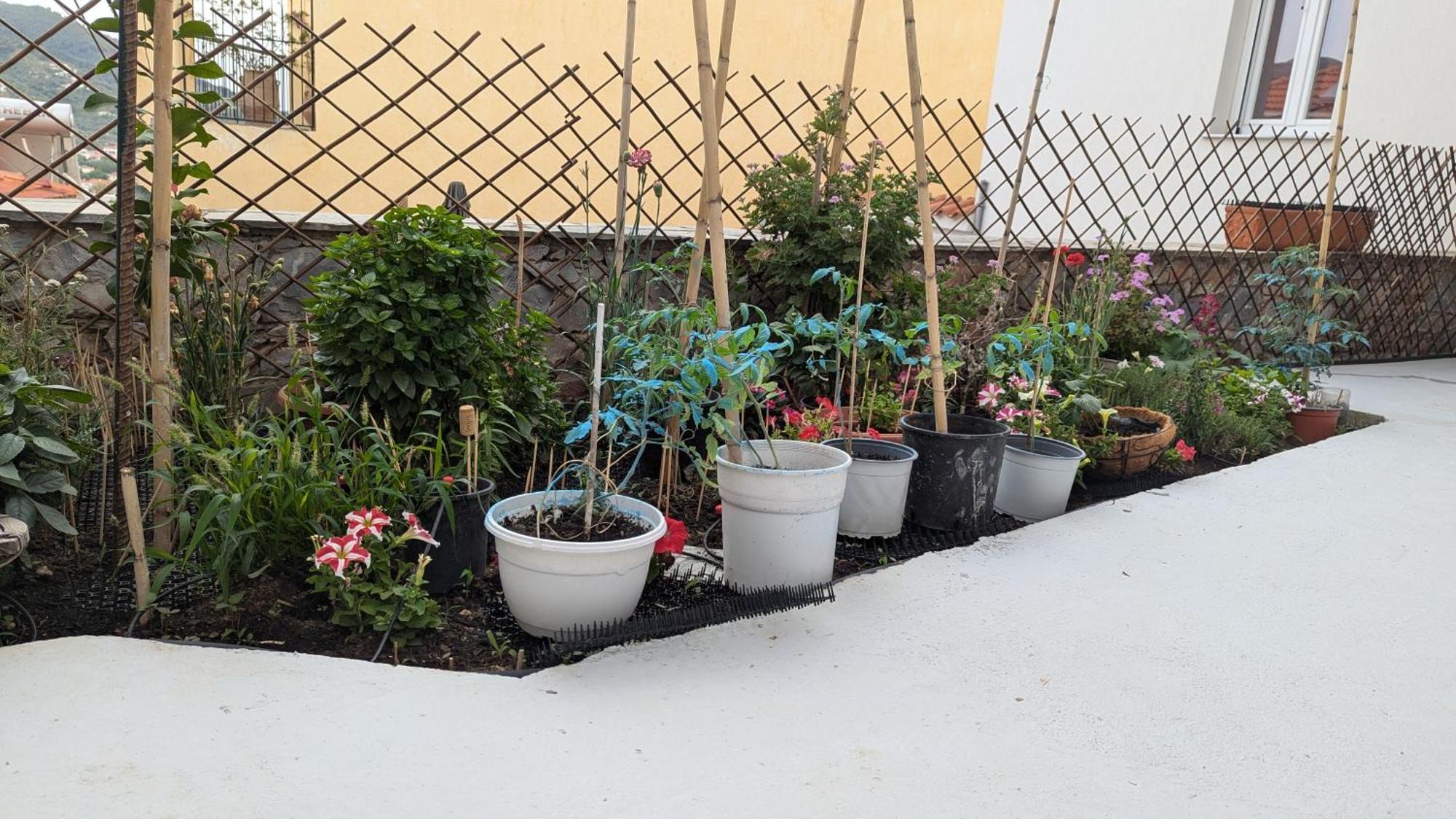 The Botanist Guesthouse Скопелос Екстер'єр фото