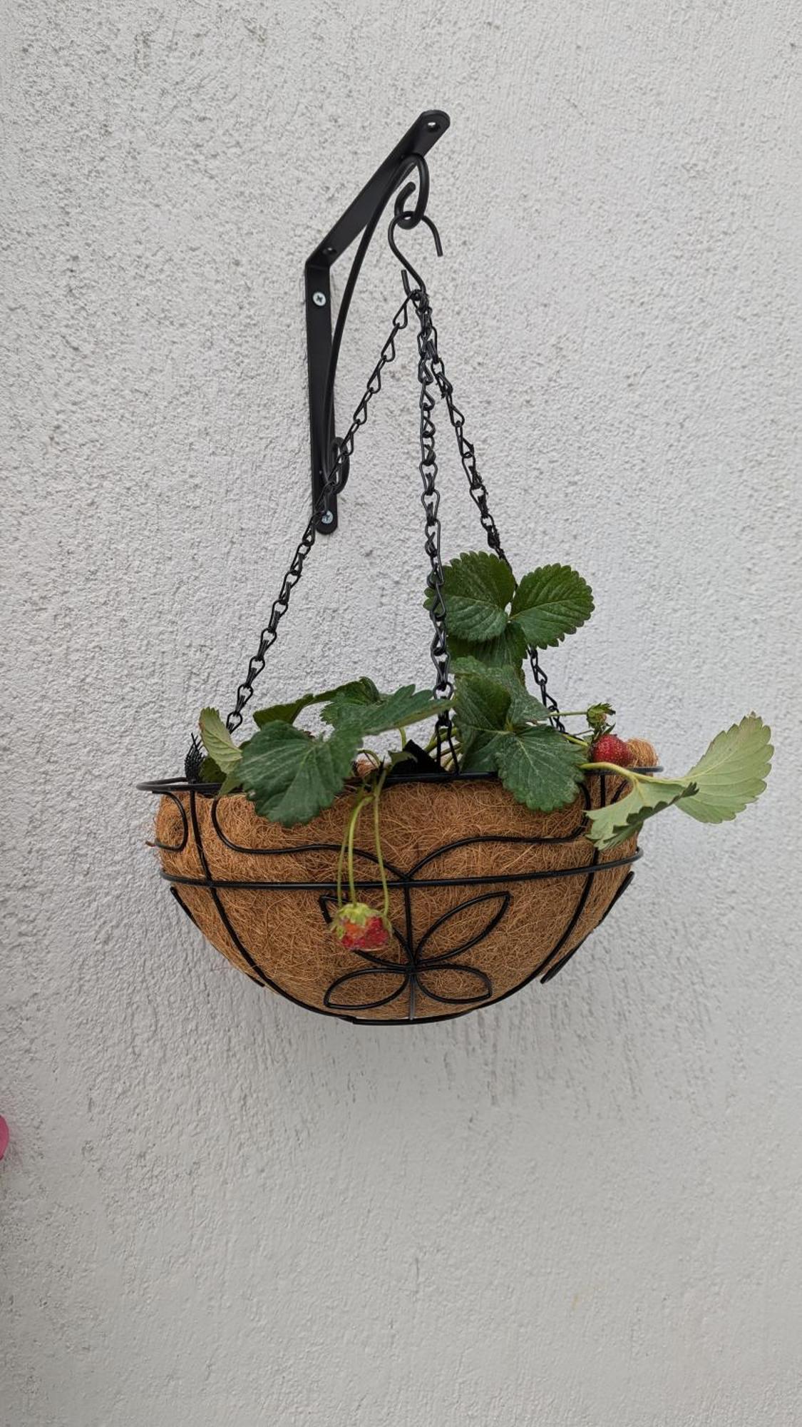 The Botanist Guesthouse Скопелос Екстер'єр фото