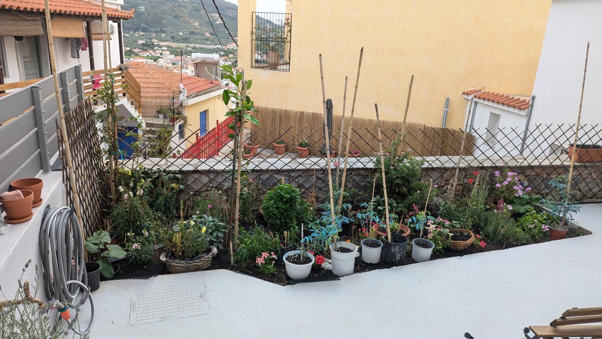 The Botanist Guesthouse Скопелос Екстер'єр фото