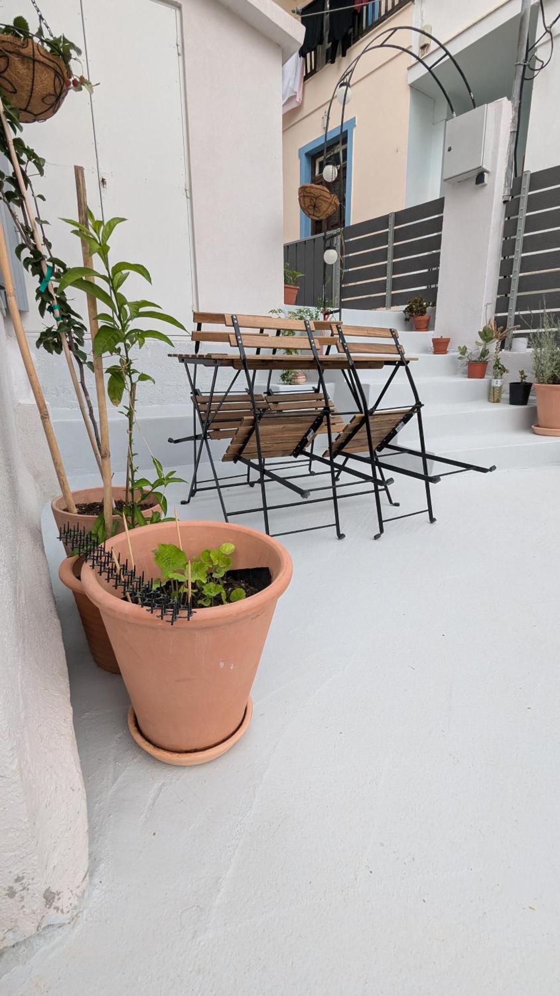 The Botanist Guesthouse Скопелос Екстер'єр фото